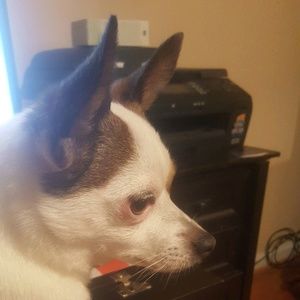 Meet your Posher, Monissa